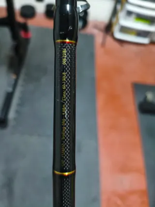 Caña de pesca Penn Squall II