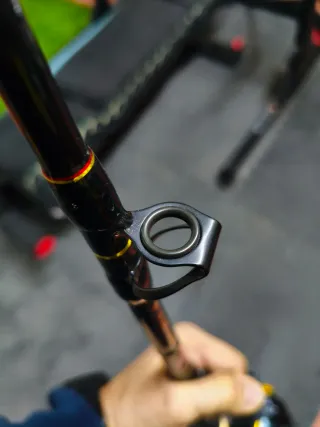 Caña de pesca Penn Squall II