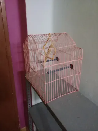 Jaula para pájaros rosa