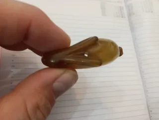 Piccola scultura coniglio cinese antica