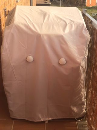 Barbacoa de jardín completa con utensilios