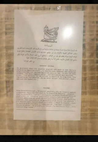 Cuadro Papiro Egipcio Original