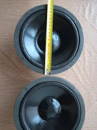 Woofer da 20cm 8 ohom buona timbrica da basso