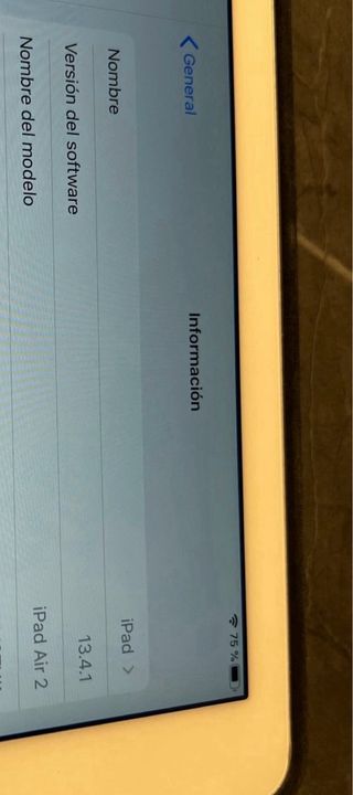 Apple iPad Blanco y Gris