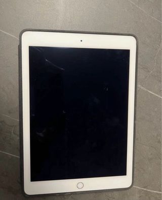 Apple iPad Blanco y Gris