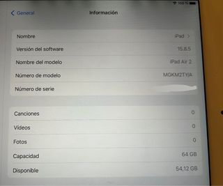 Apple iPad Blanco y Gris