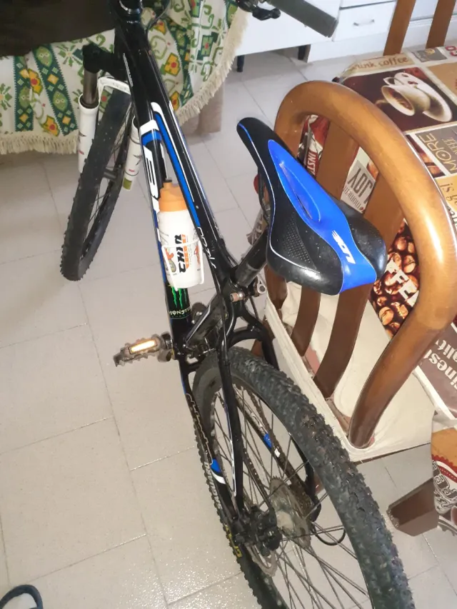 Bicicleta de Montaña