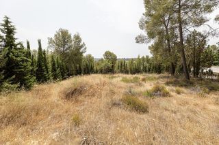 Terreno en venta en Albolote