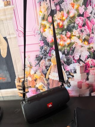 Altavoz JBL Negro con Correa y funda