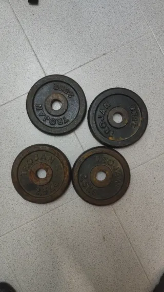 Discos y barras de pesas