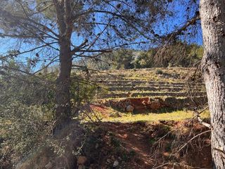 Terreno en venta en Callosa d´En Sarrià