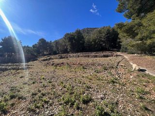 Terreno en venta en Callosa d´En Sarrià