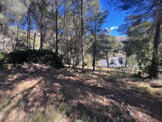 Terreno en venta en Callosa d´En Sarrià