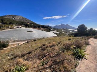 Terreno en venta en Callosa d´En Sarrià