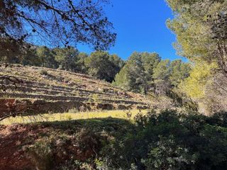 Terreno en venta en Callosa d´En Sarrià