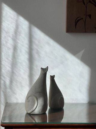 Piso en alquiler en La Raïosa en Valencia