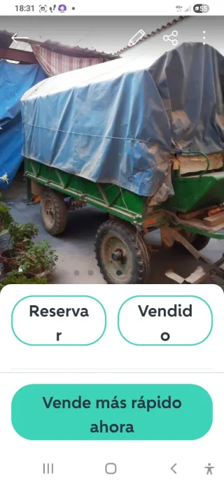 2 Remolques 6000kg y 1500kg