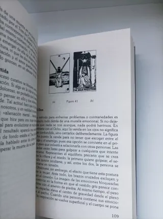 Los 78 grados de la sabiduria del tarot - menores