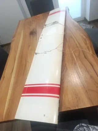 Alas Avión RC Renegade