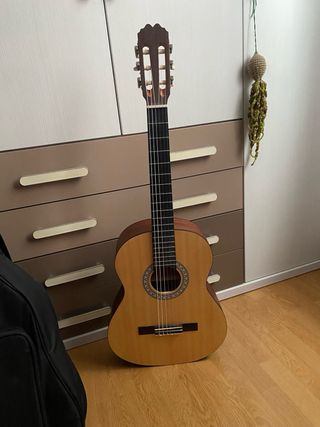 Funda para guitarra española