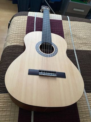 Funda para guitarra española