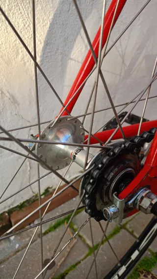 Bicicleta Fixie Pista