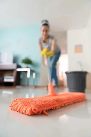 Limpieza, nunny, perros y apoyo en general.