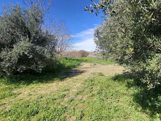 Solar en venta en Alhendín