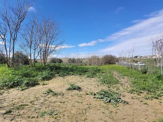 Solar en venta en Alhendín