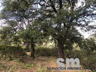 Terreno en venta en Ubrique