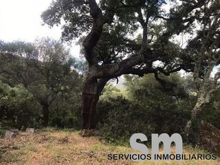 Terreno en venta en Ubrique