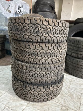Neumáticos 4x4