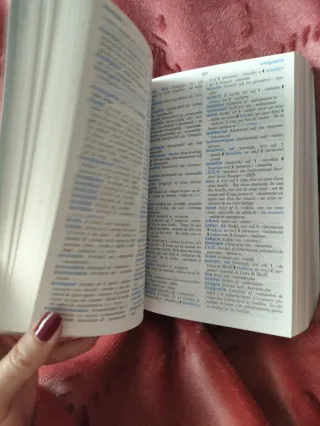 Diccionario avanzado francés