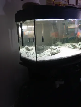 Acuario 180L