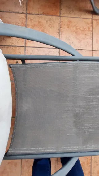 2 Tumbonas abatibles de  Jardín con Cojines