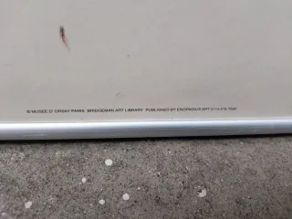 Reproducción Cuadro El Jardín Claude Monet vintage