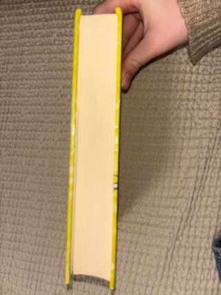 Diario de Nikki 7 - Una famosa con poco estilo:...