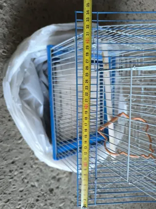 Jaula para pájaros de diferentes formas y tamaño