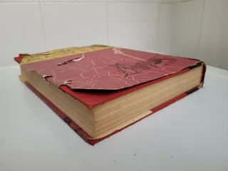 Historia del Toreo Nestor Luján