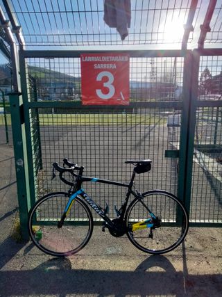 Bicicleta Carretera Wilier GTR Team Carbono