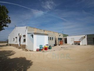 Local comercial en venta en Deltebre