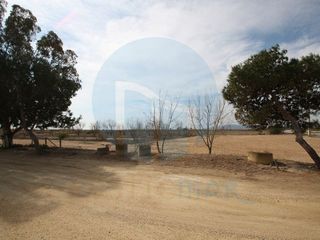 Local comercial en venta en Deltebre