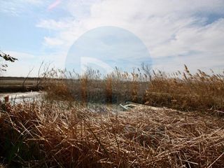 Local comercial en venta en Deltebre