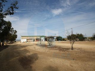 Local comercial en venta en Deltebre