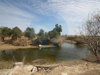 Local comercial en venta en Deltebre