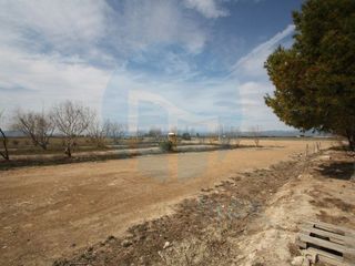 Local comercial en venta en Deltebre