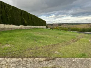 Tellero urbano. La Carlota.