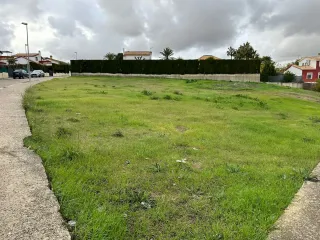 Tellero urbano. La Carlota.