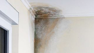 Servicio de eliminación de humedad