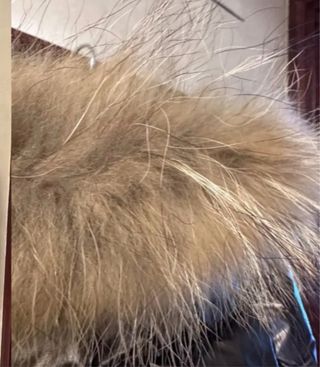 Abrigo Anna Moda Piu Marrón con Capucha